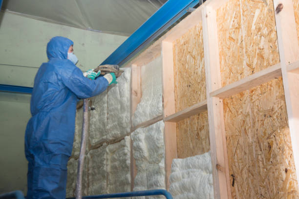 Best Insulation Replacement Services  in Lancaster, WI