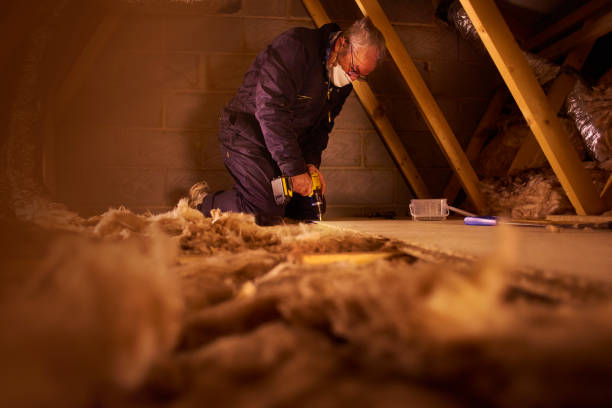 Best Garage Insulation Installation  in Lancaster, WI